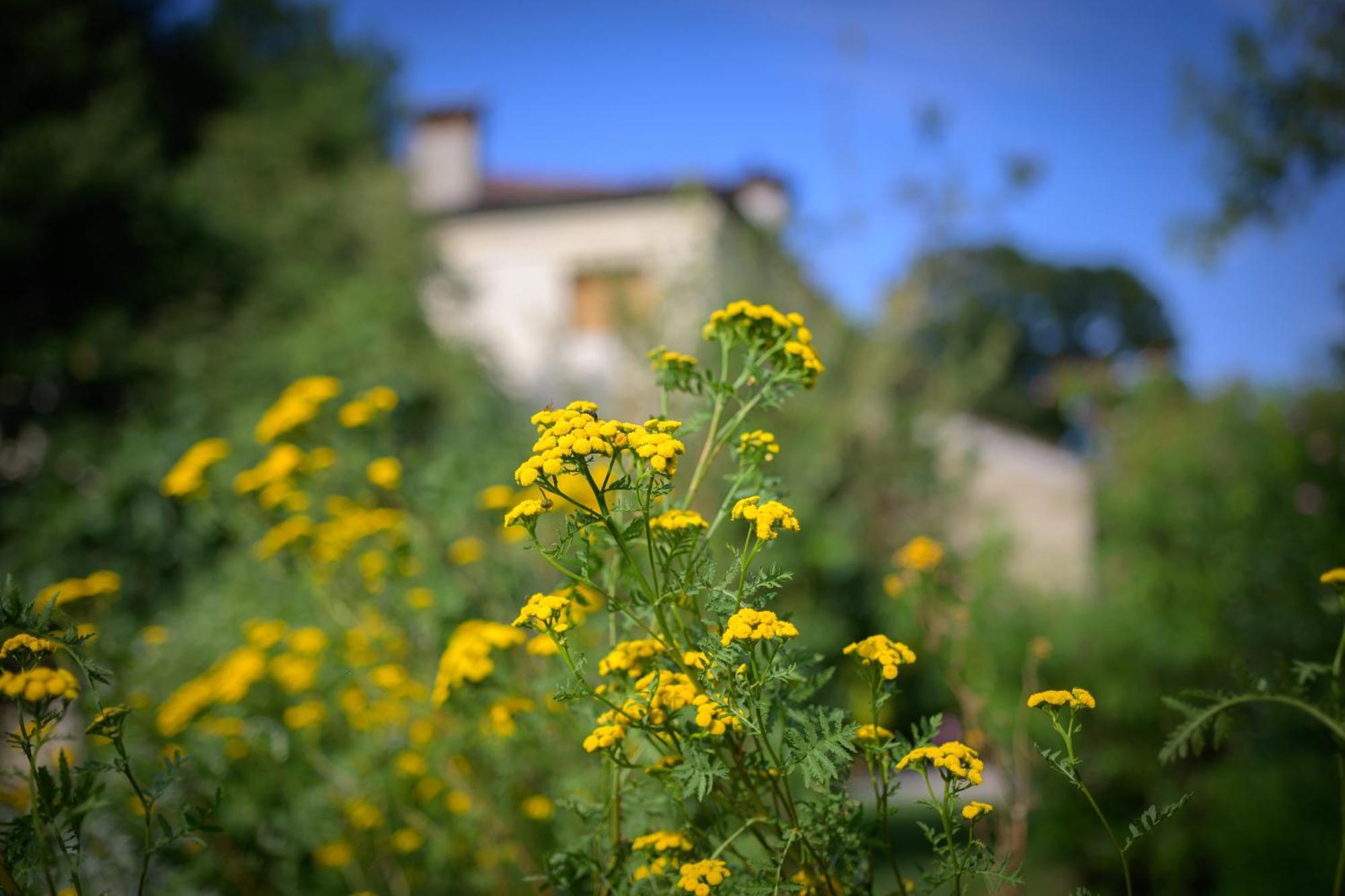 Palazzetto Ardi Bed and Breakfast Torri di Confine Buitenkant foto